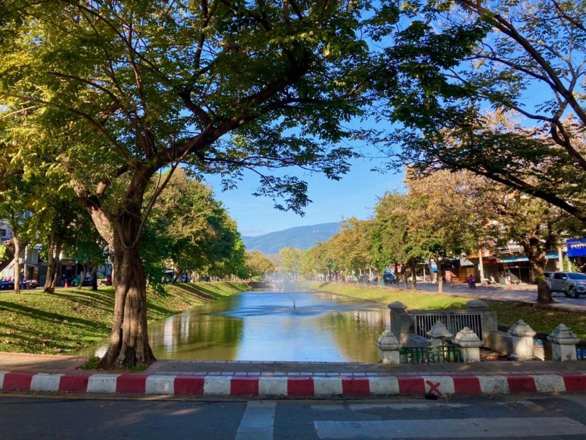 Triple Palms House Hotel Chiang Mai Bagian luar foto